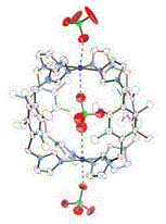過塩素酸イオンを補足するカプセル分子