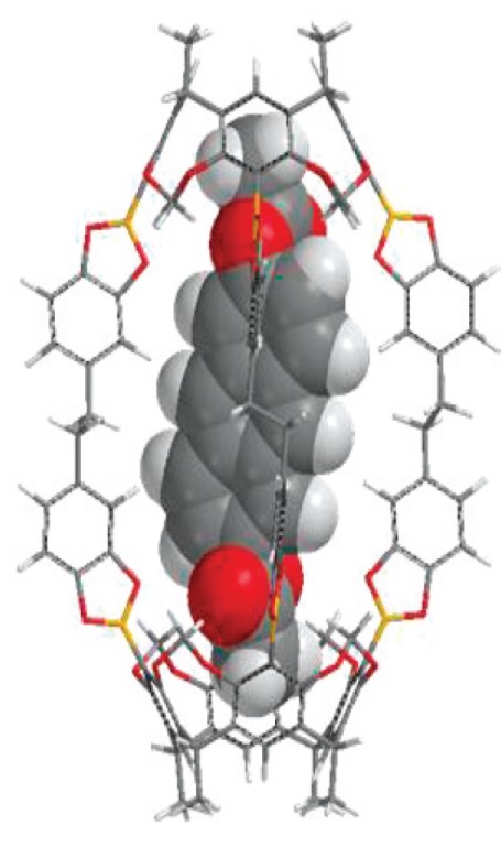 Molecule